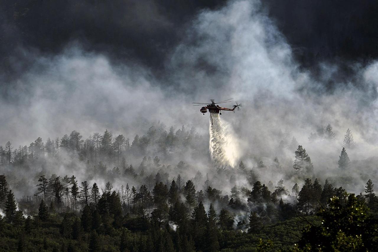 Here's how California has increased forest management and wildfire