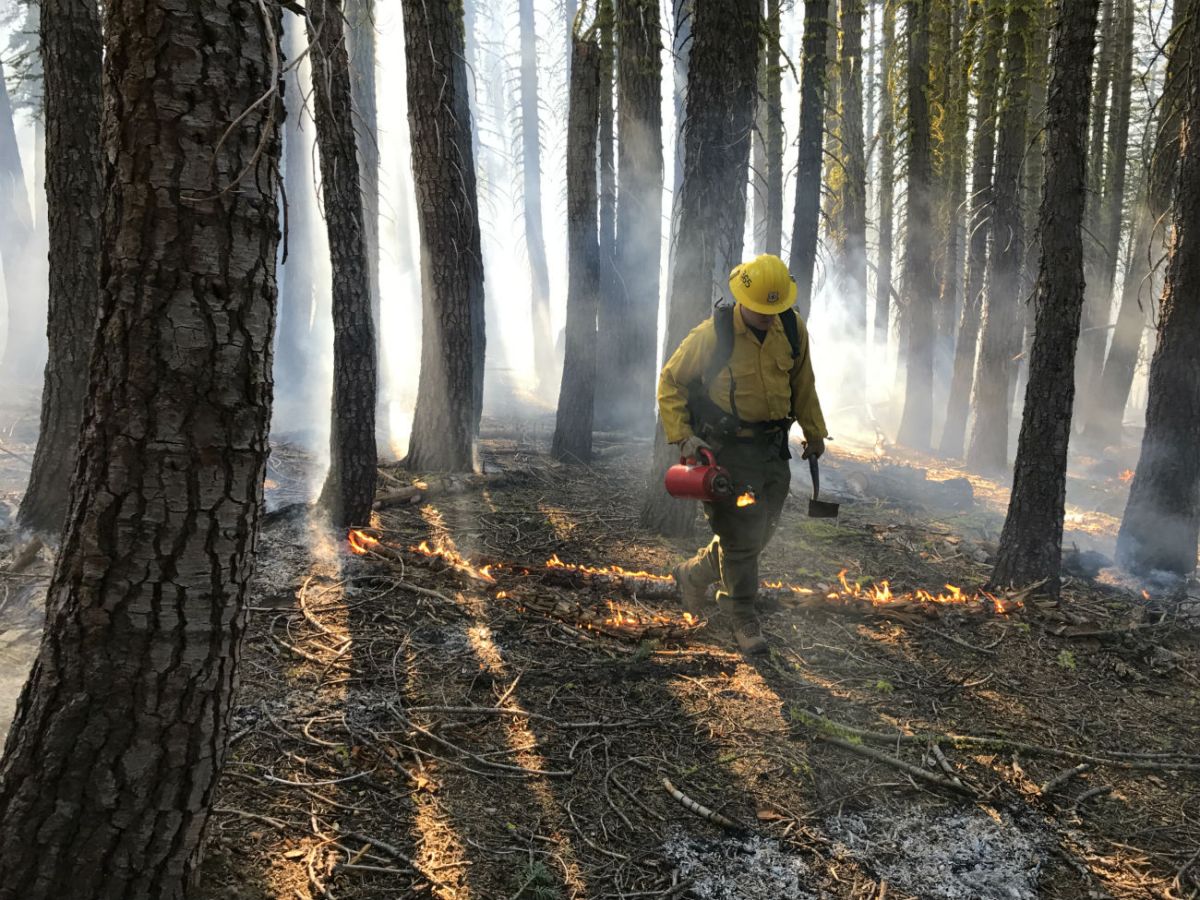 Fire california wildfire wildfires redding today camp fires delta forest blaze near hills summer now there photographs caused deadliest history